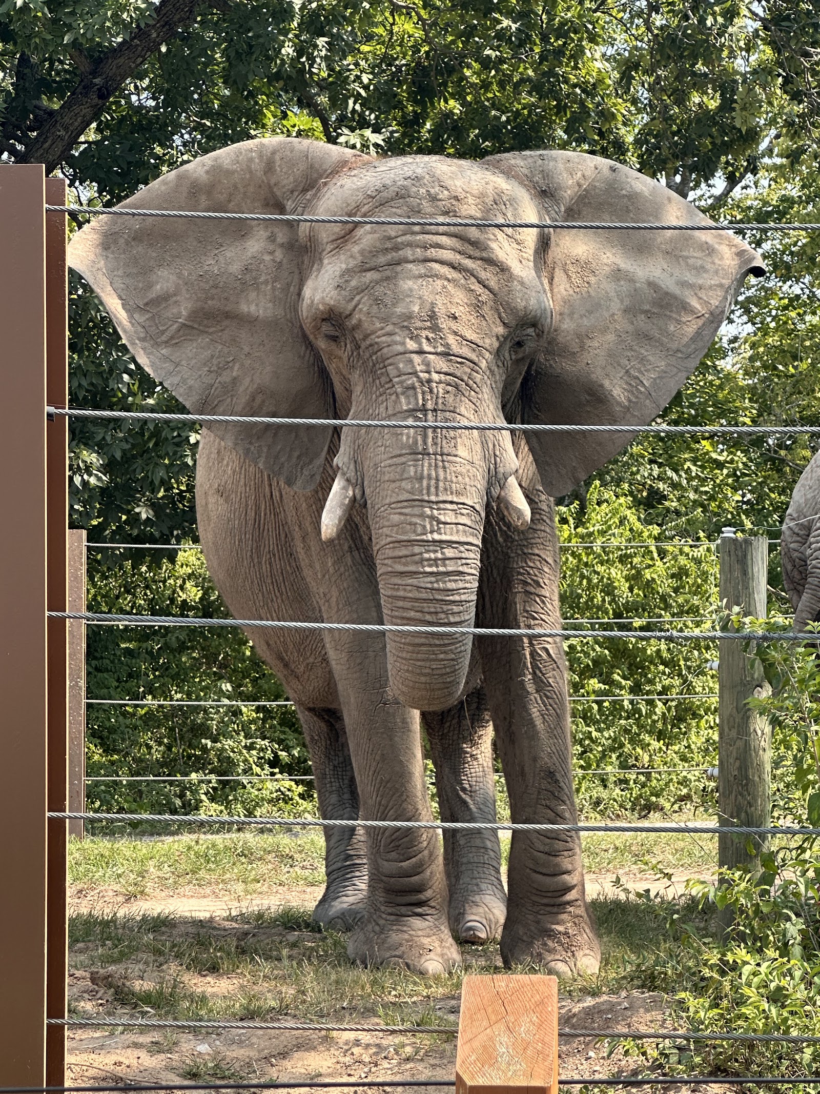 Kansas City Zoo & Aquarium — Oficiais