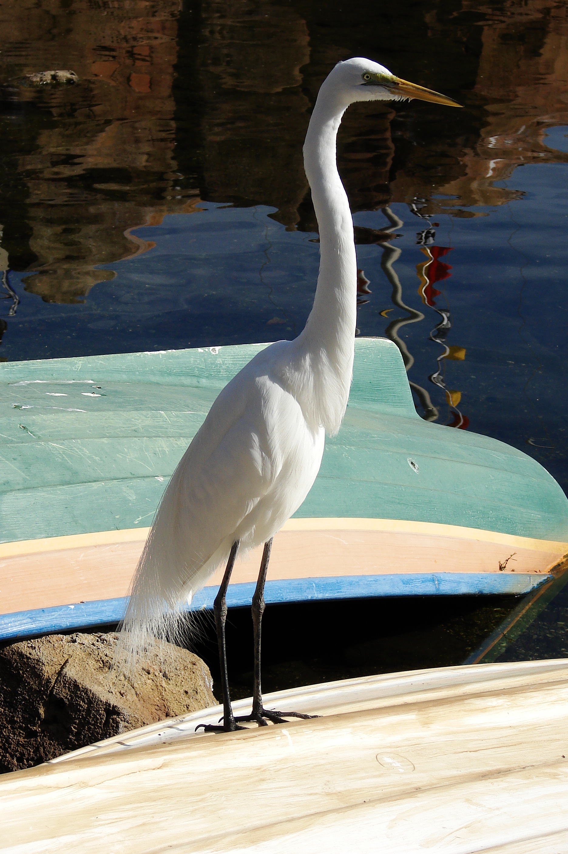 Keeper Talk at Dolphin Nursery