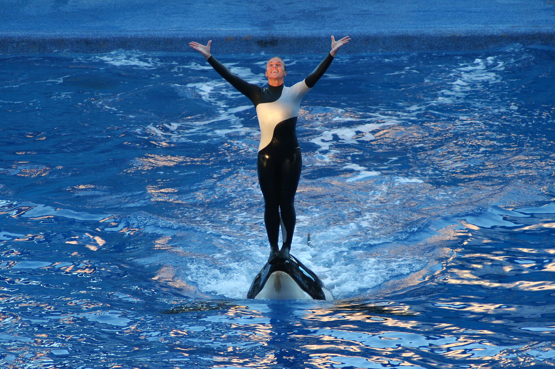 Keeper Talk at Orca Underwater Viewing