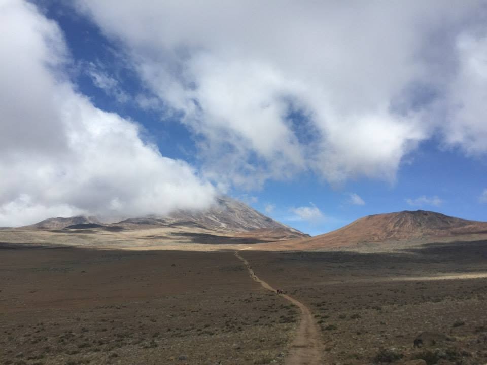 Kilimanjaro — Oficiais