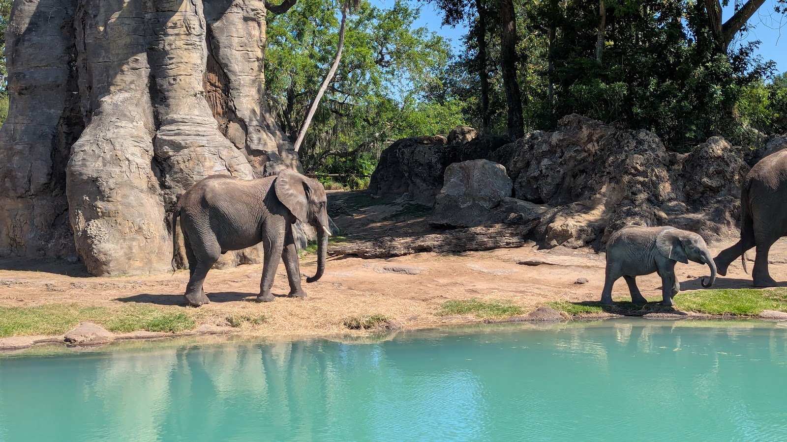 Kilimanjaro Safaris — Oficiais