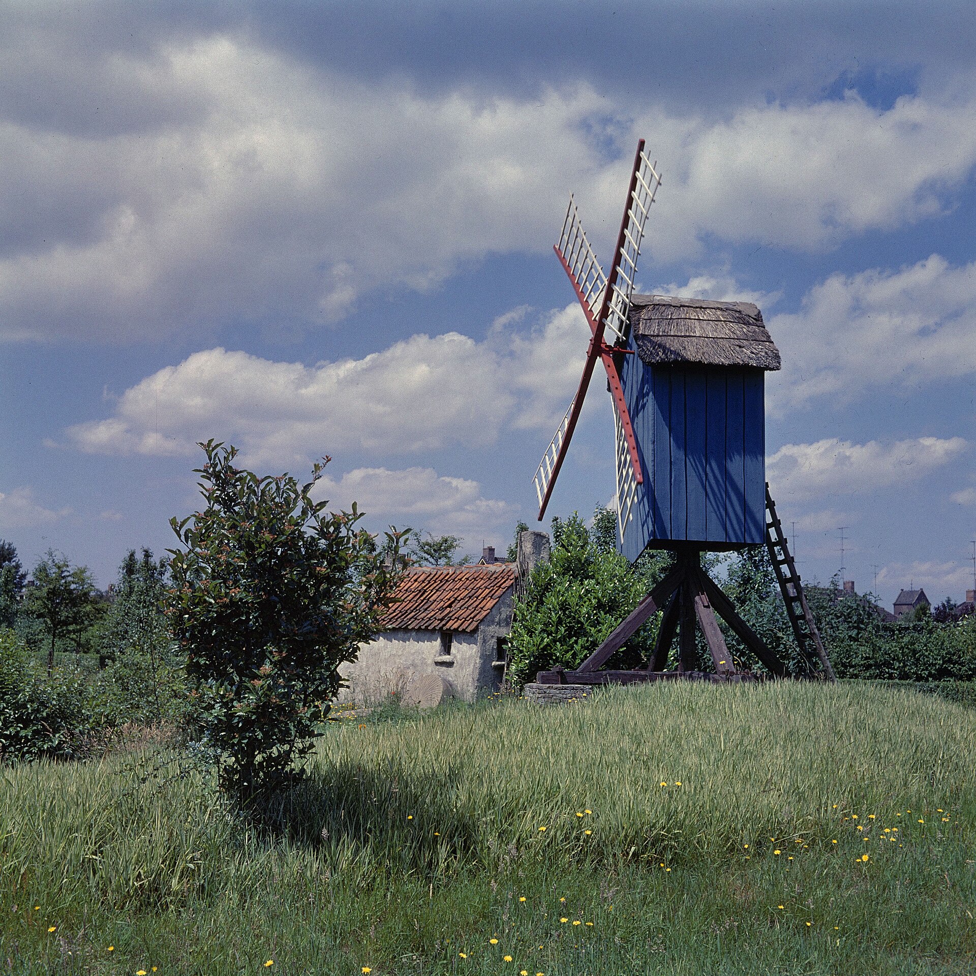 Kinderspoor