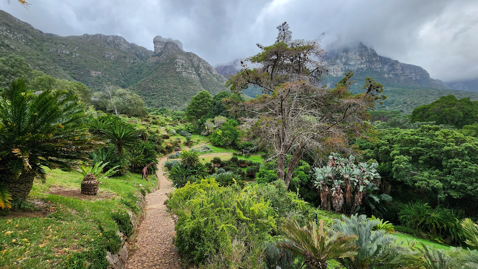 Kirstenbosch National Botanical Garden — Oficiais