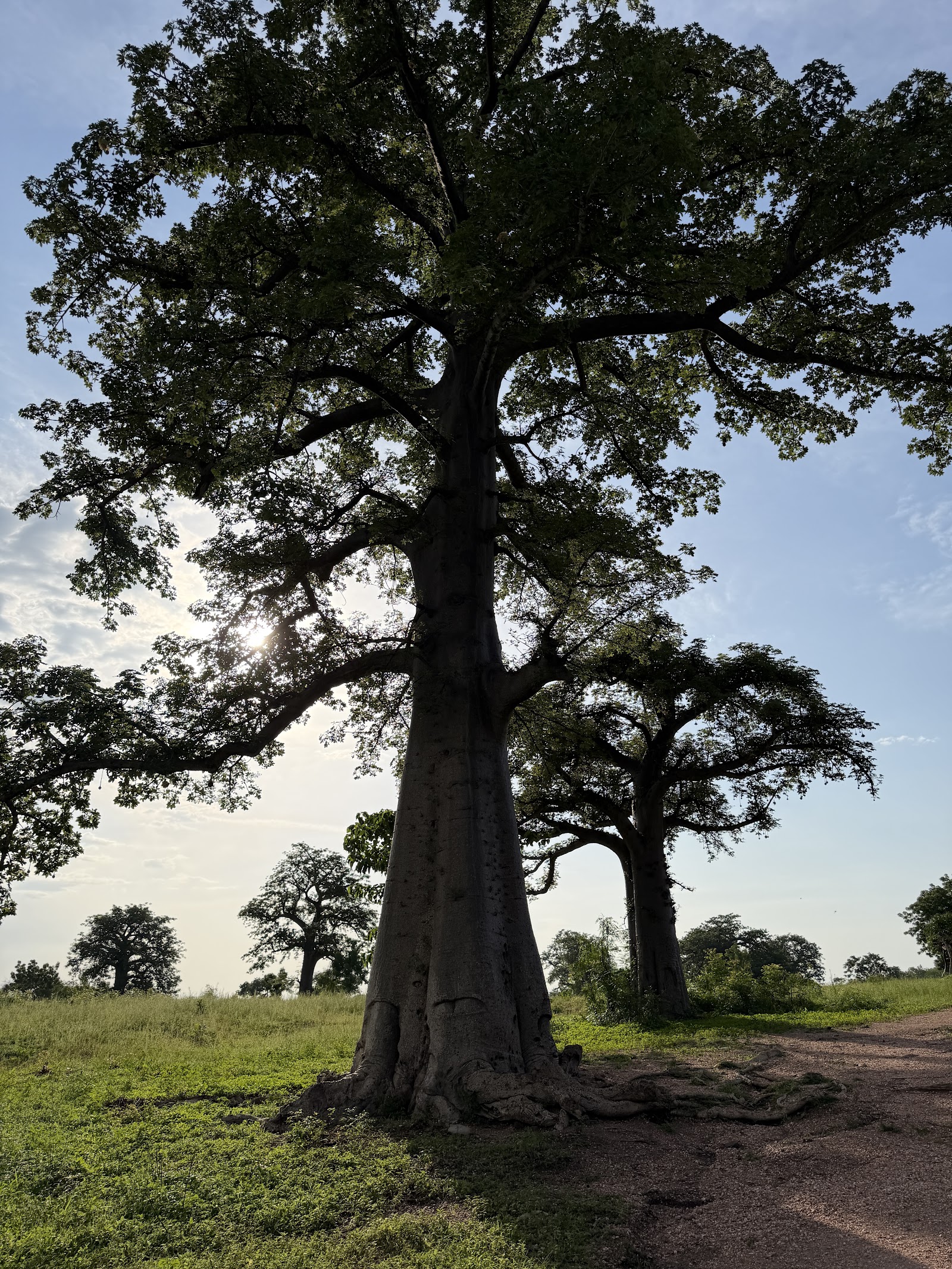 Koutammakou, le pays des Batammariba — Oficiais