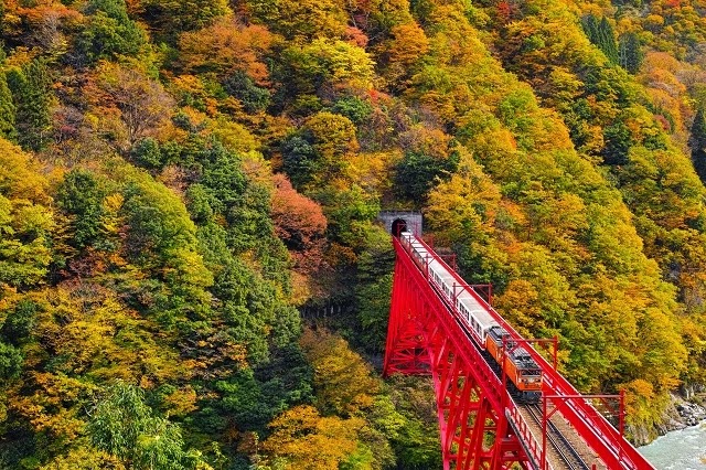 Kurobe Gorge Trolley Train — Oficiais