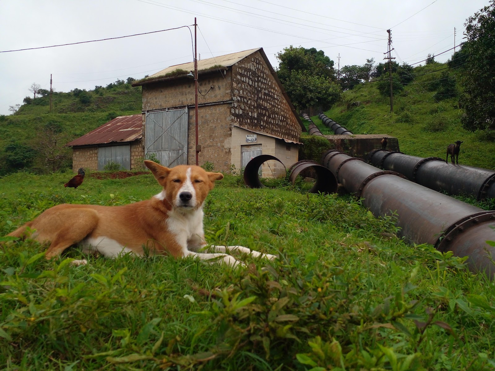 Kurra Falls — Oficiais