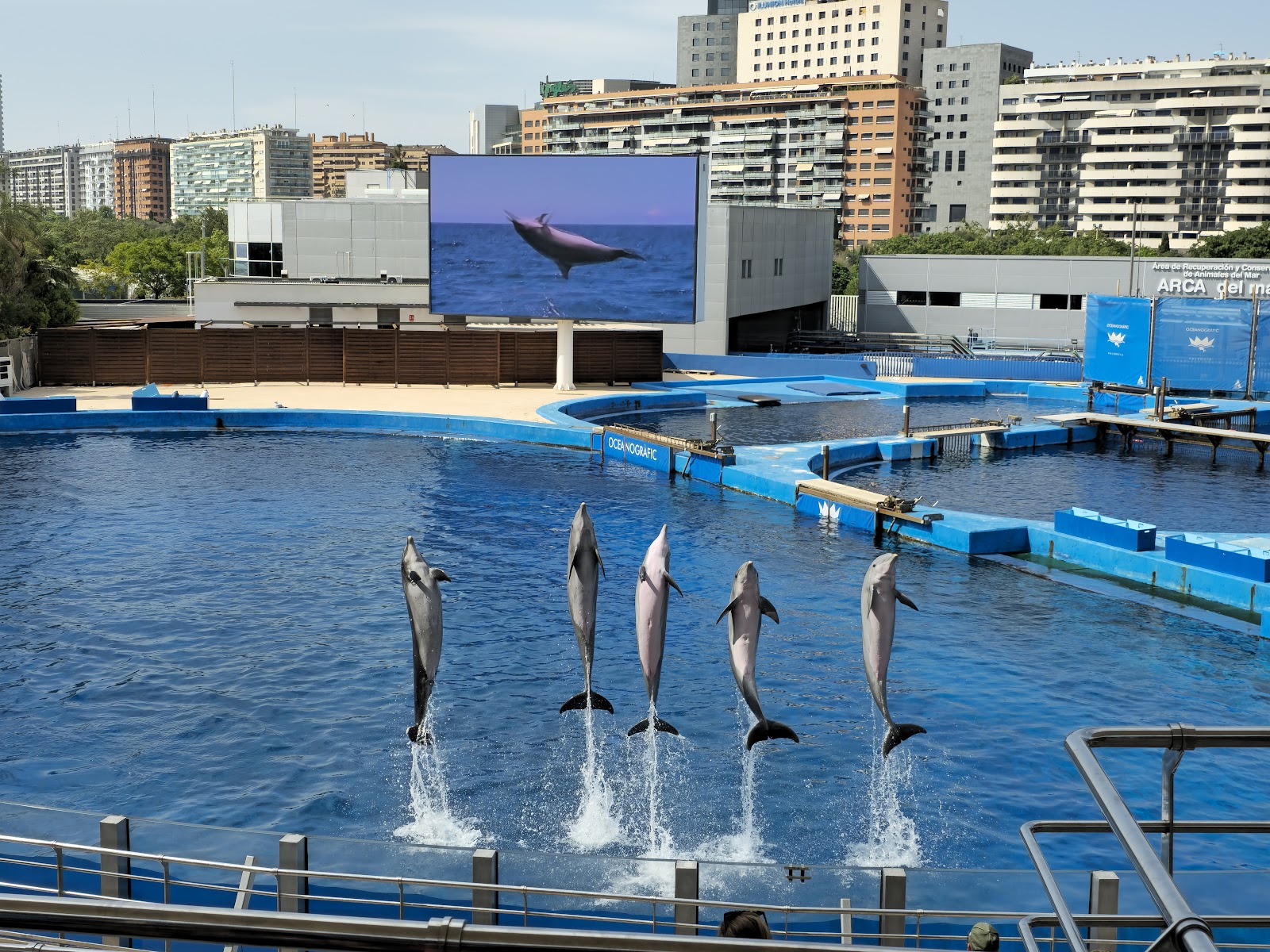 L'Oceanogrŕfic — Oficiais