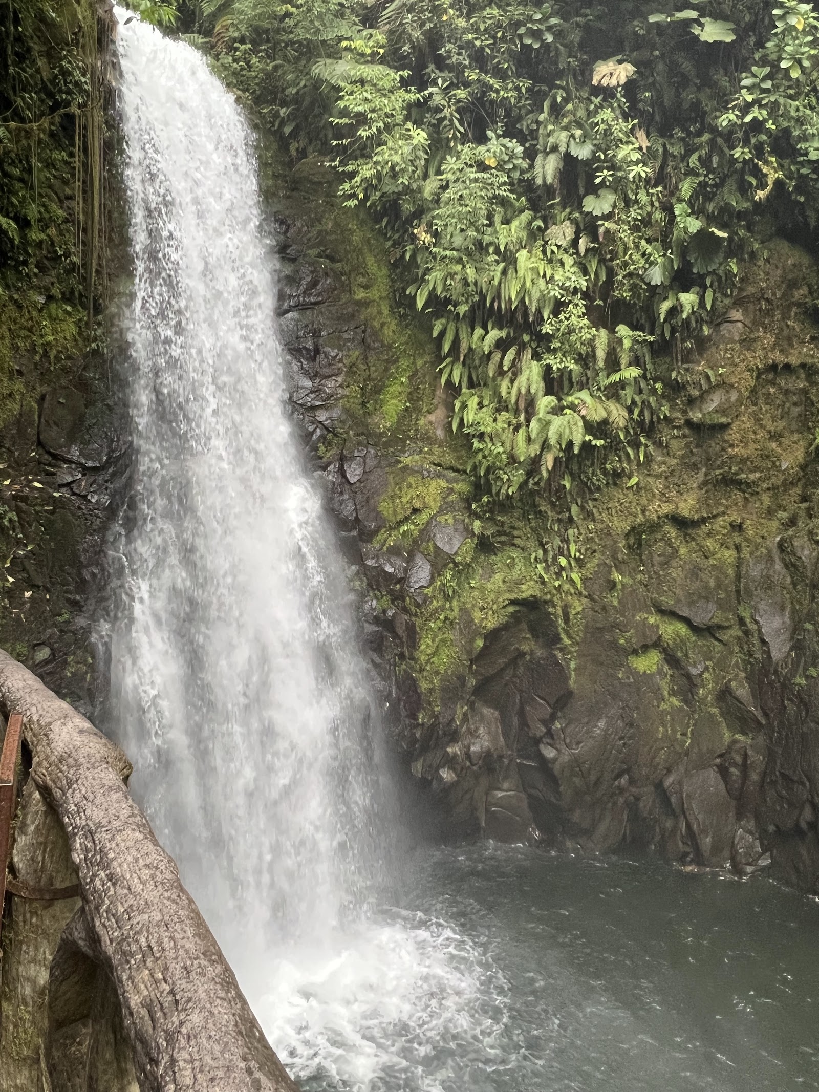 La Paz Waterfall Gardens Nature Park — Oficiais