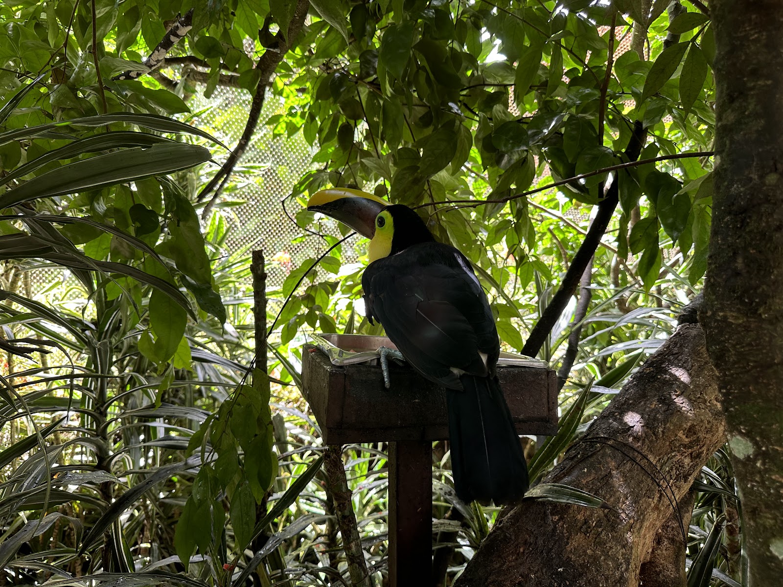 La Paz Waterfall Gardens Nature Park — Oficiais