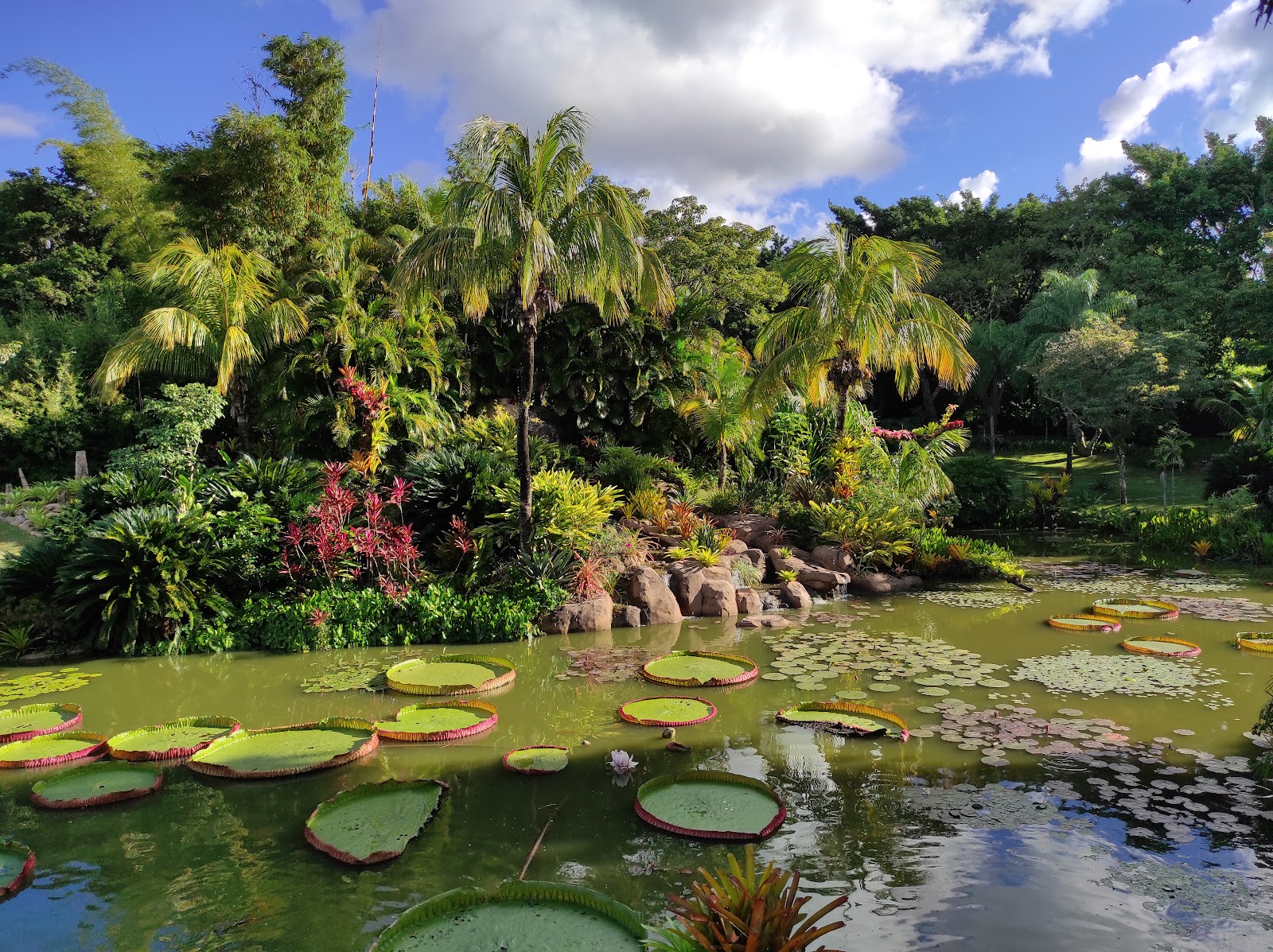 La Rinconada Ecoparque y Restaurante — Oficiais