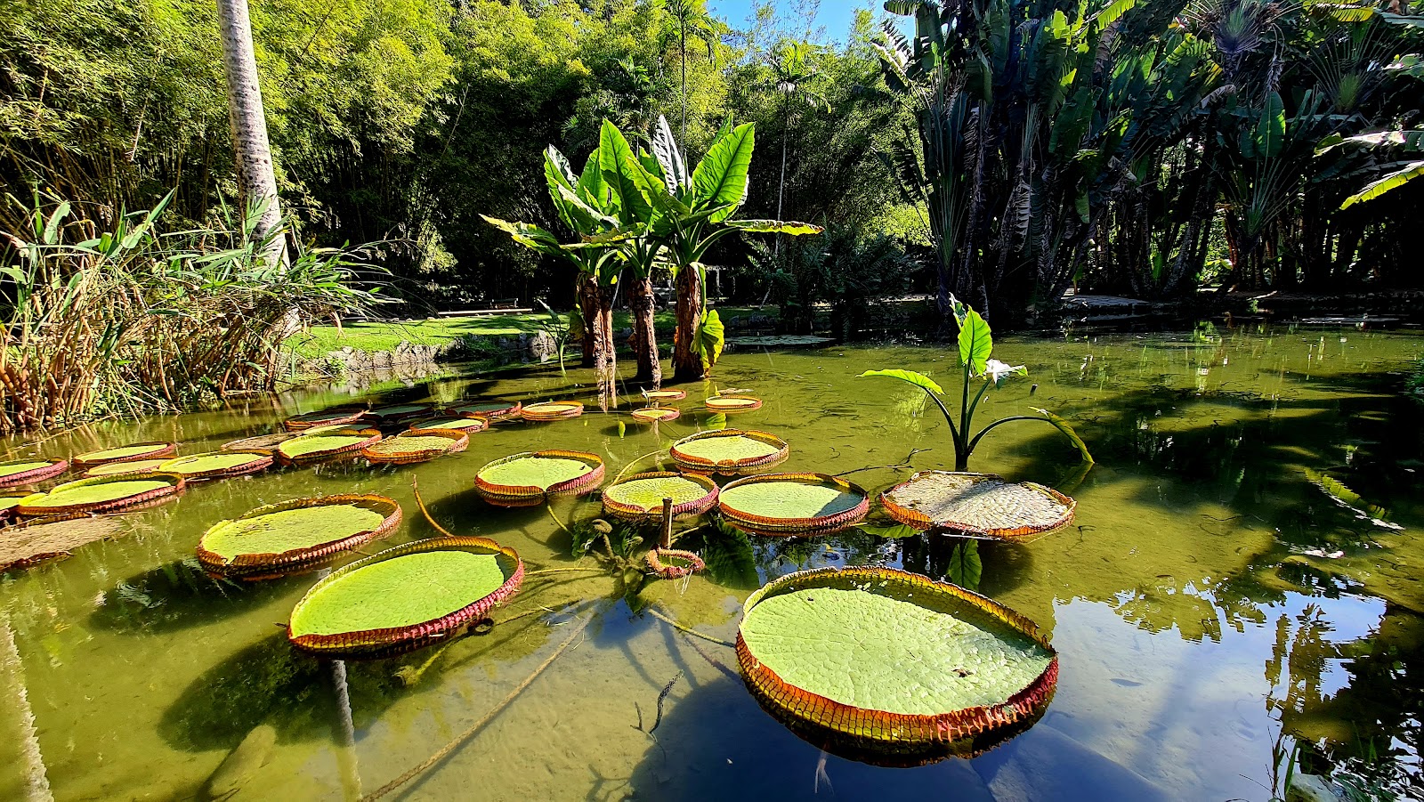 Lago Frei Leandro — Oficiais