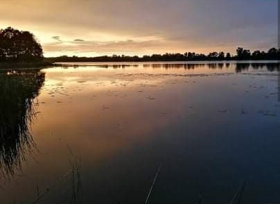 Lago Great Bear