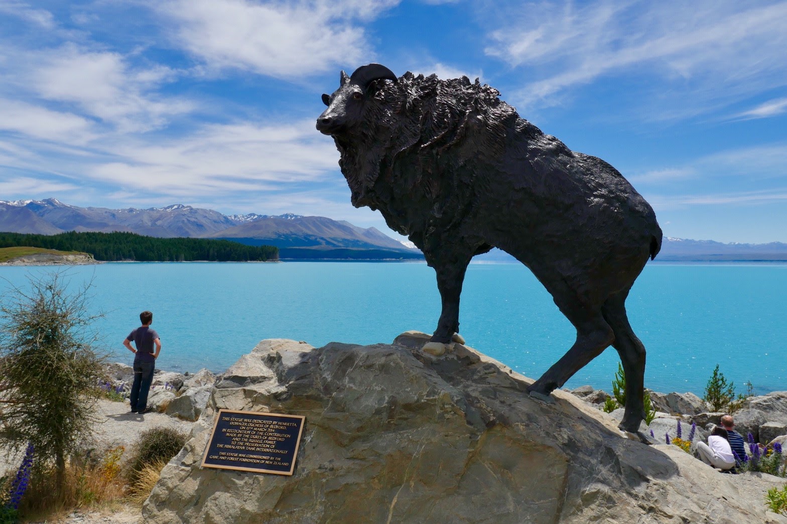 Lago Pukaki — Oficiais