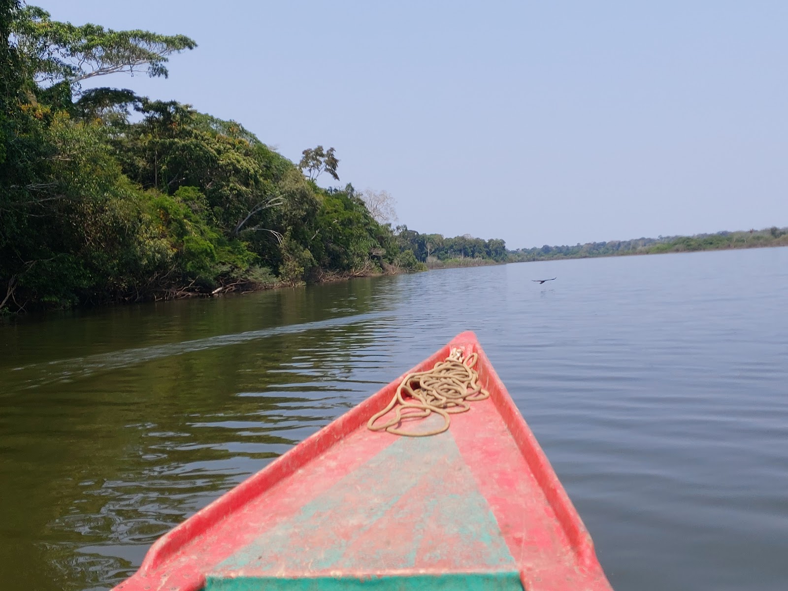 Lago Valencia (área de influência da reserva) — Oficiais