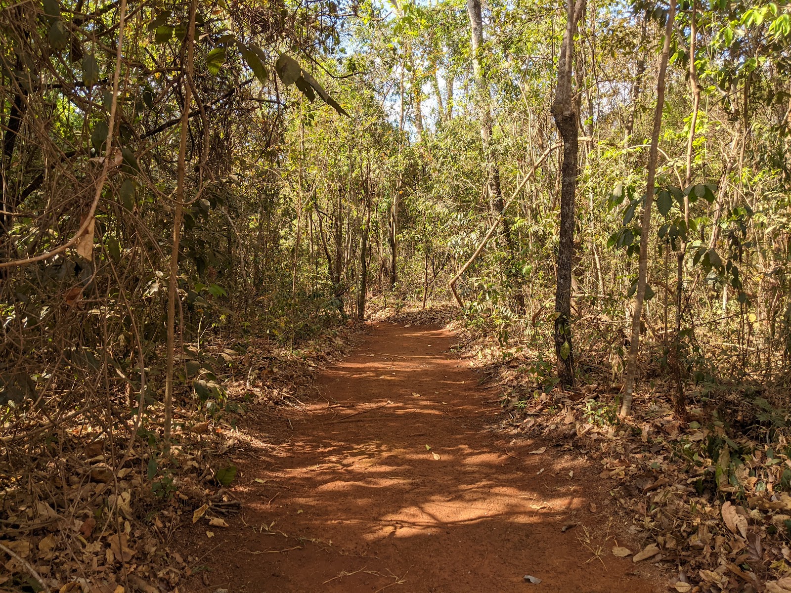 Lagoa do Parque Estadual Altamiro de Moura Pacheco — Oficiais