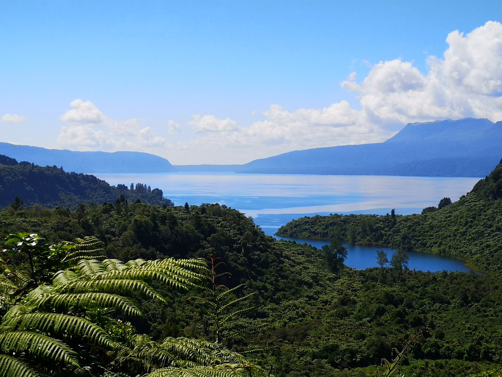 Lake Tarawera — Oficiais