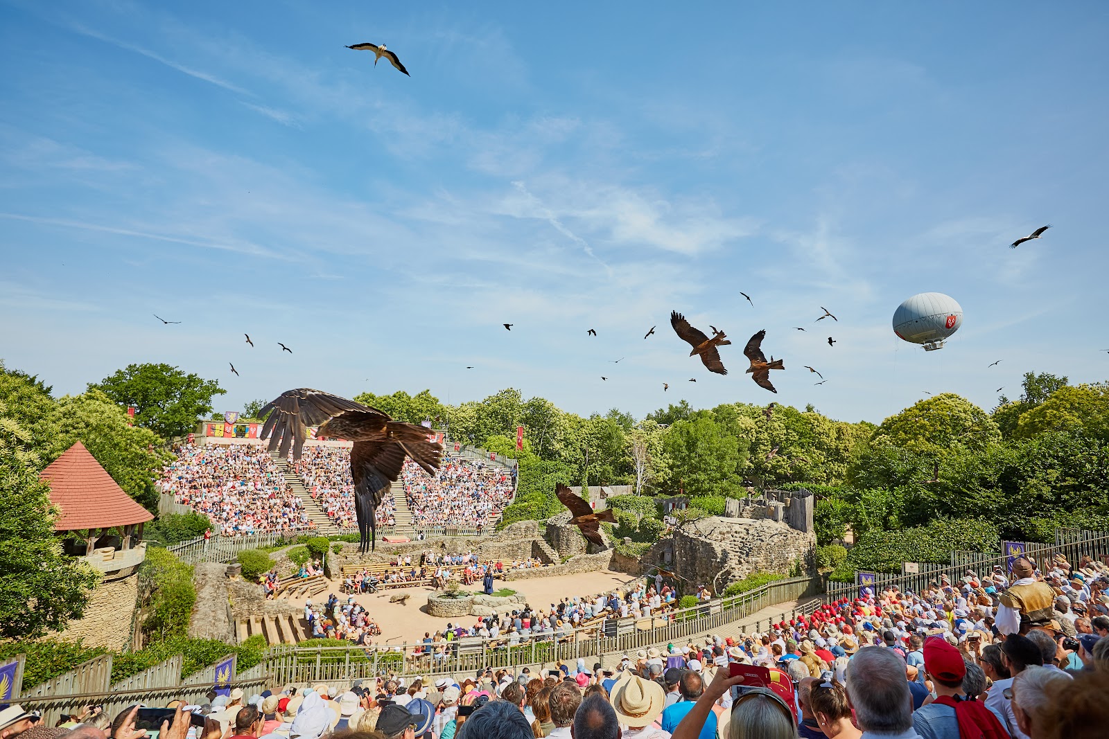 Le Bal des Oiseaux Fantômes