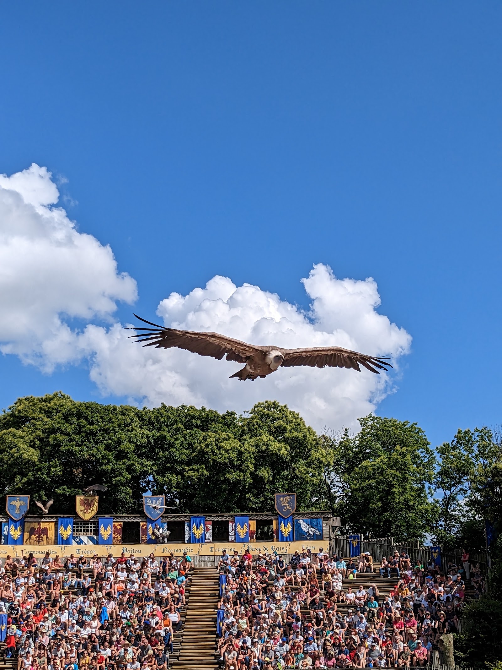 Le Bal des Oiseaux Fantômes — Oficiais