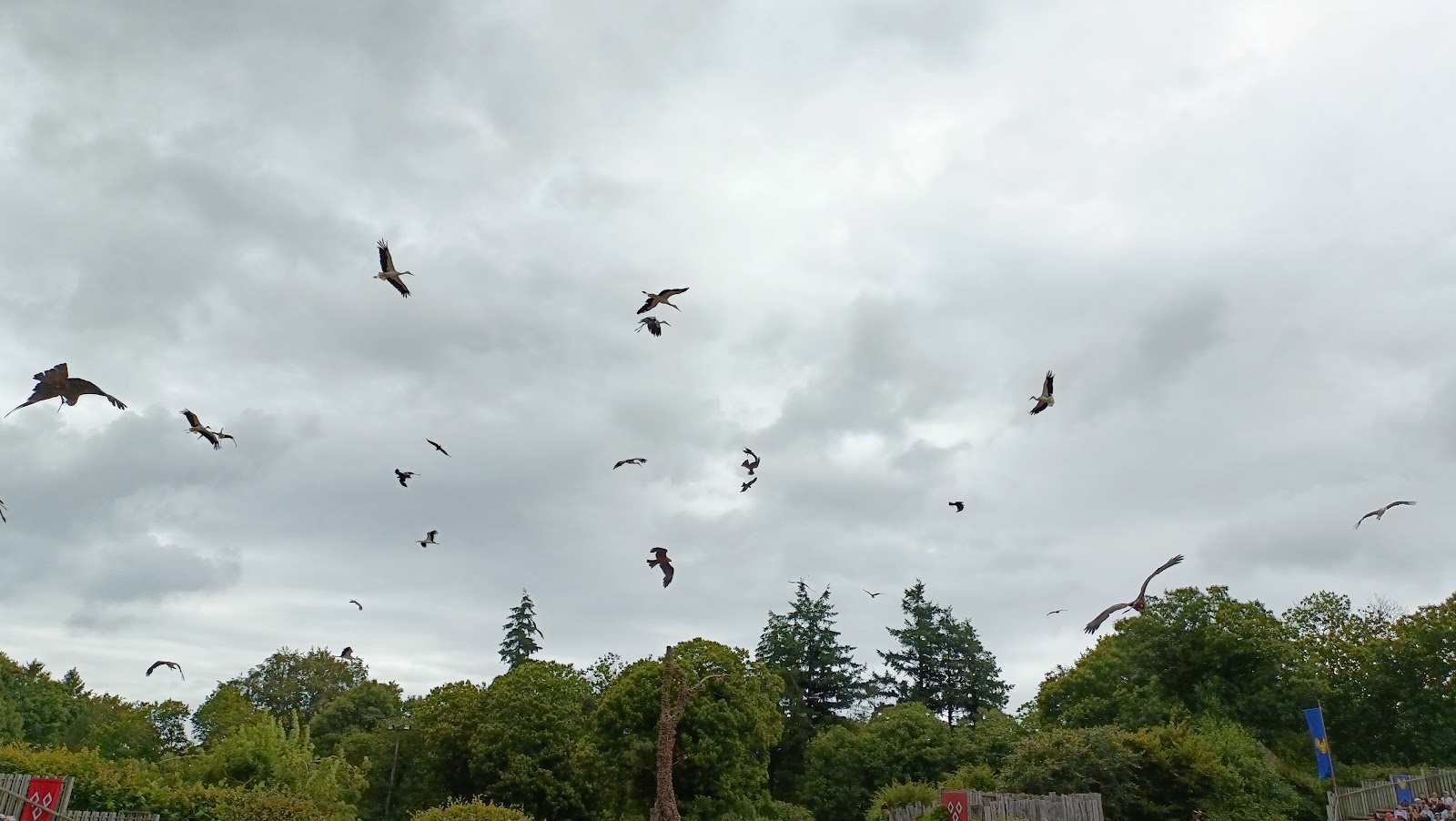 Le Bal des Oiseaux Fantômes — Oficiais