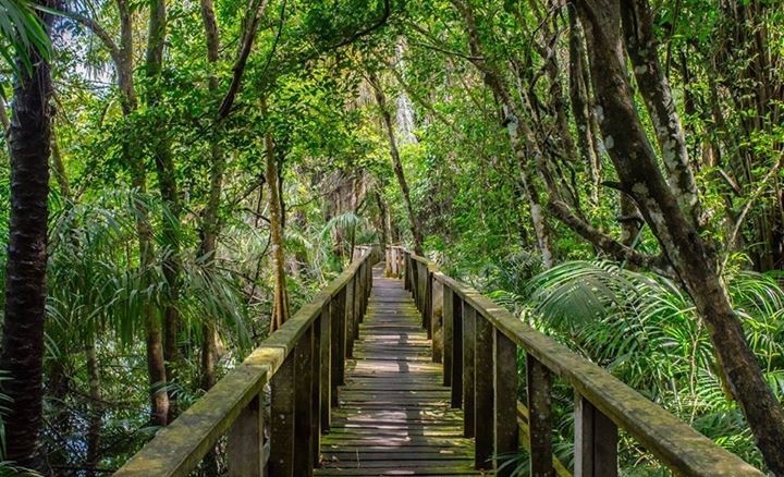 Lekki Conservation Centre — Oficiais