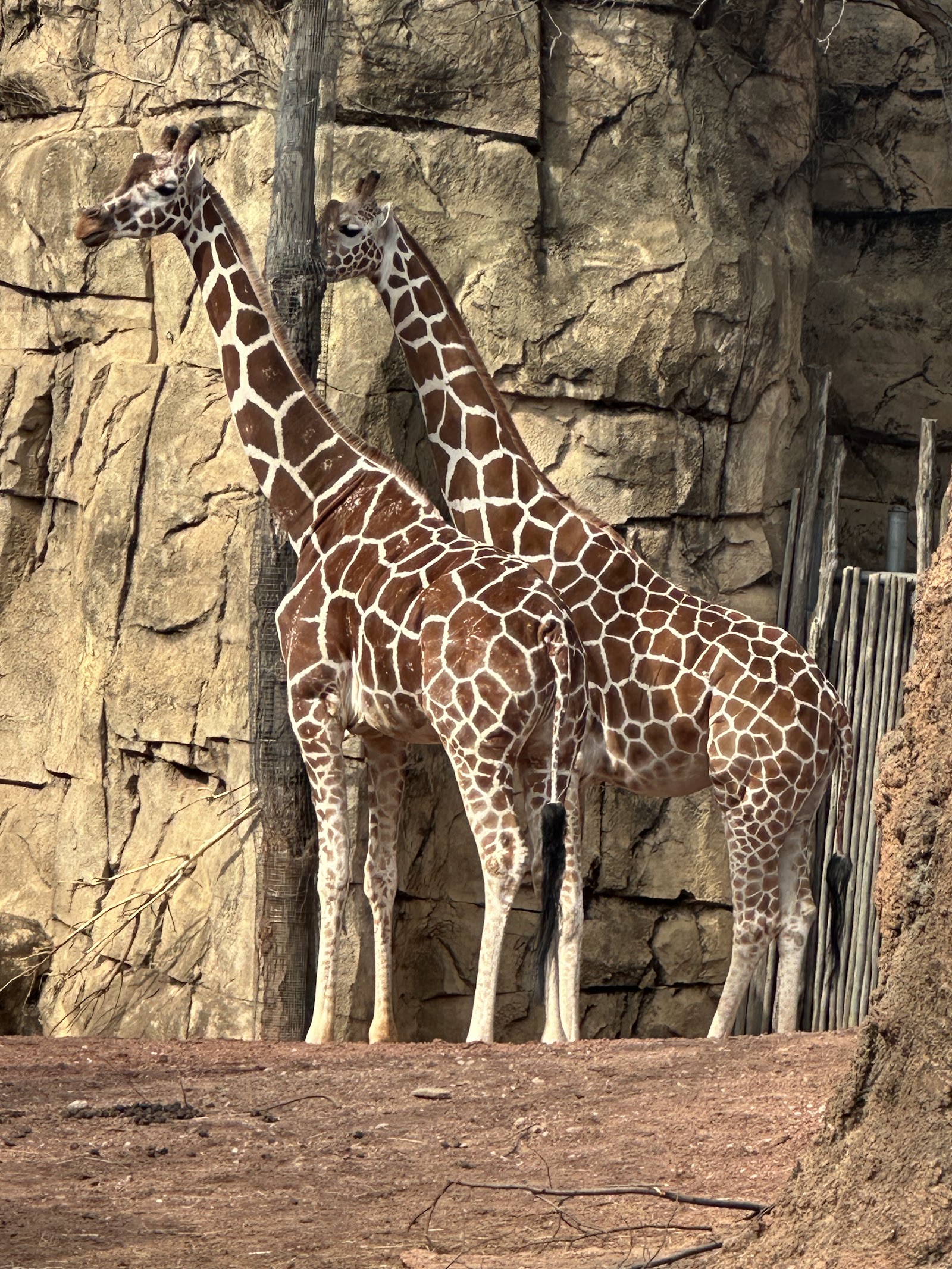 Lincoln Park Zoo — Oficiais