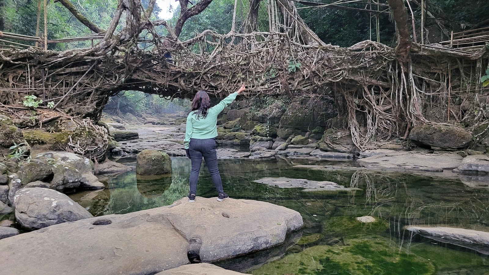 Living Root Bridge, Riwai Village — Oficiais