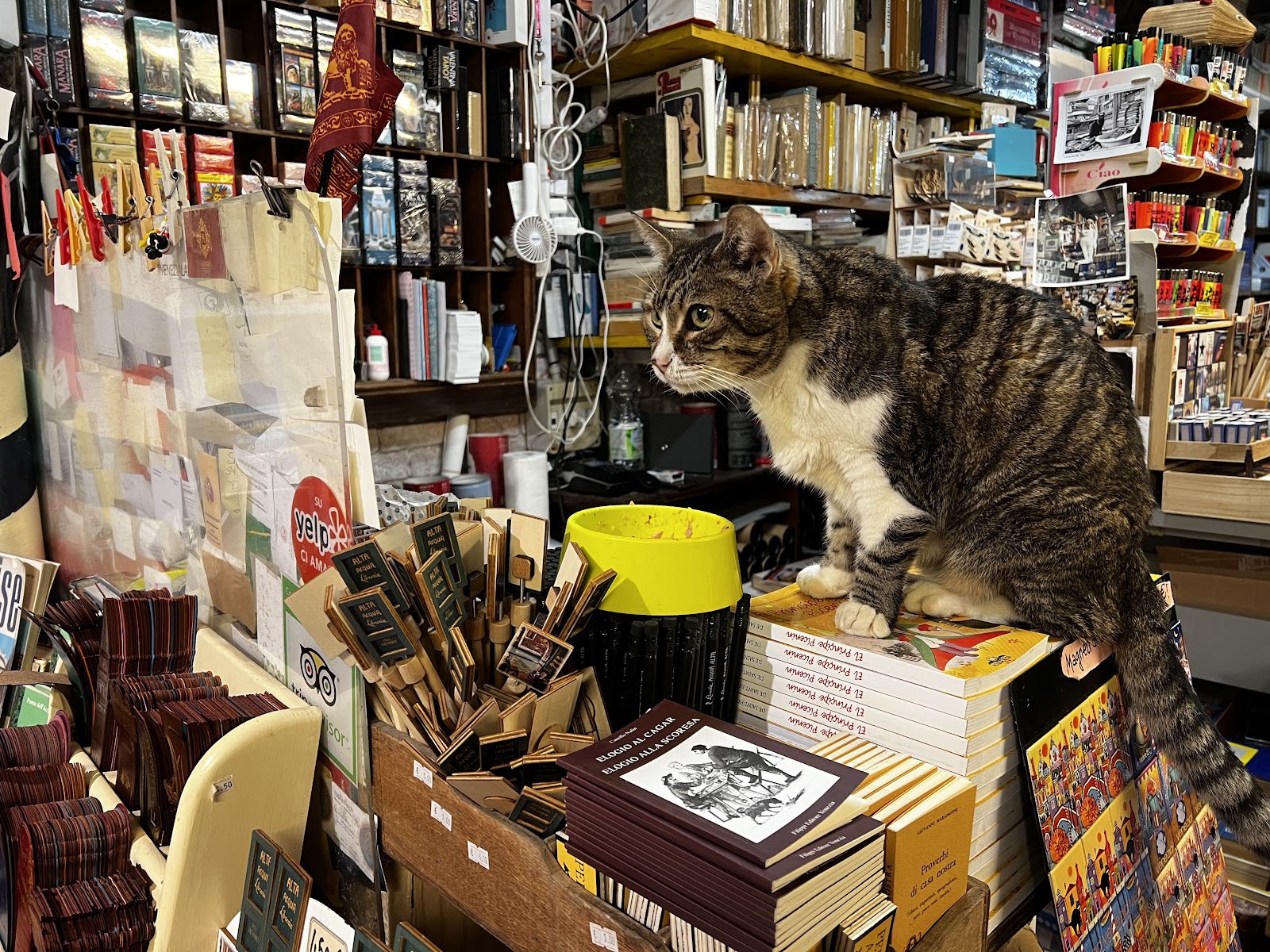Livraria Água Alta — Oficiais