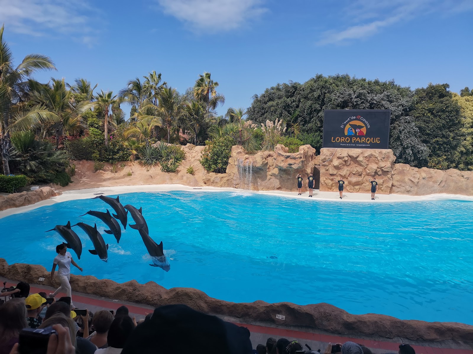 Loro Parque — Oficiais