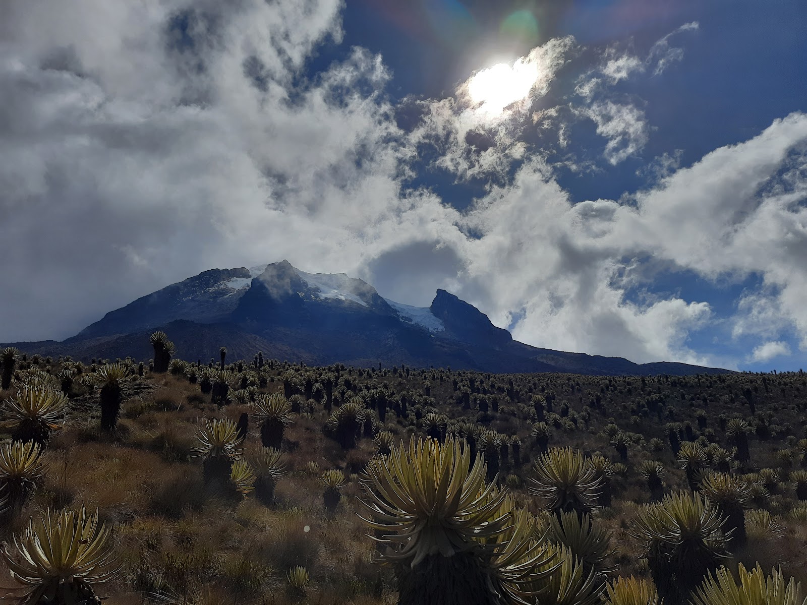 Los Nevados National Park — Oficiais