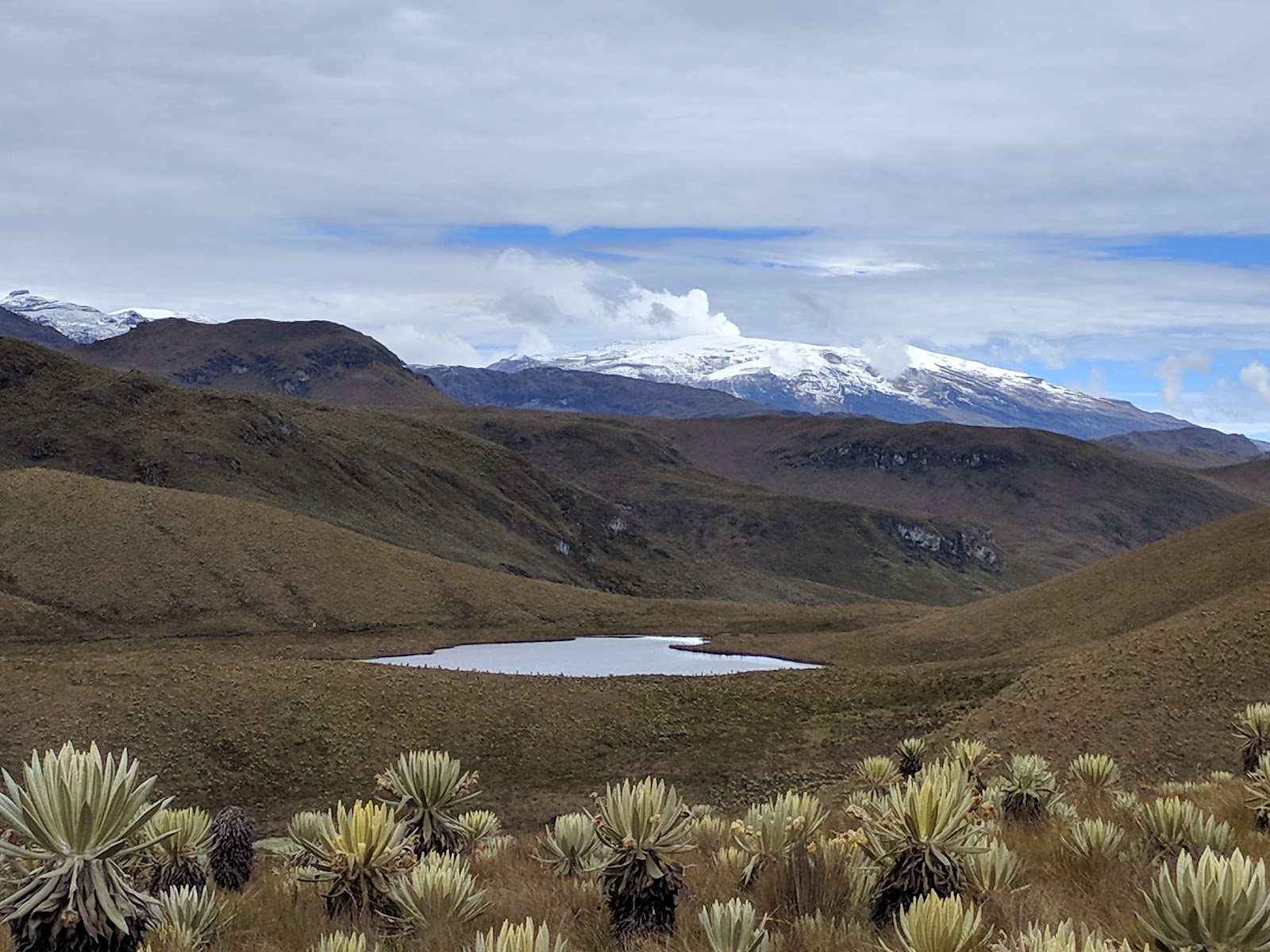 Los Nevados National Park — Oficiais