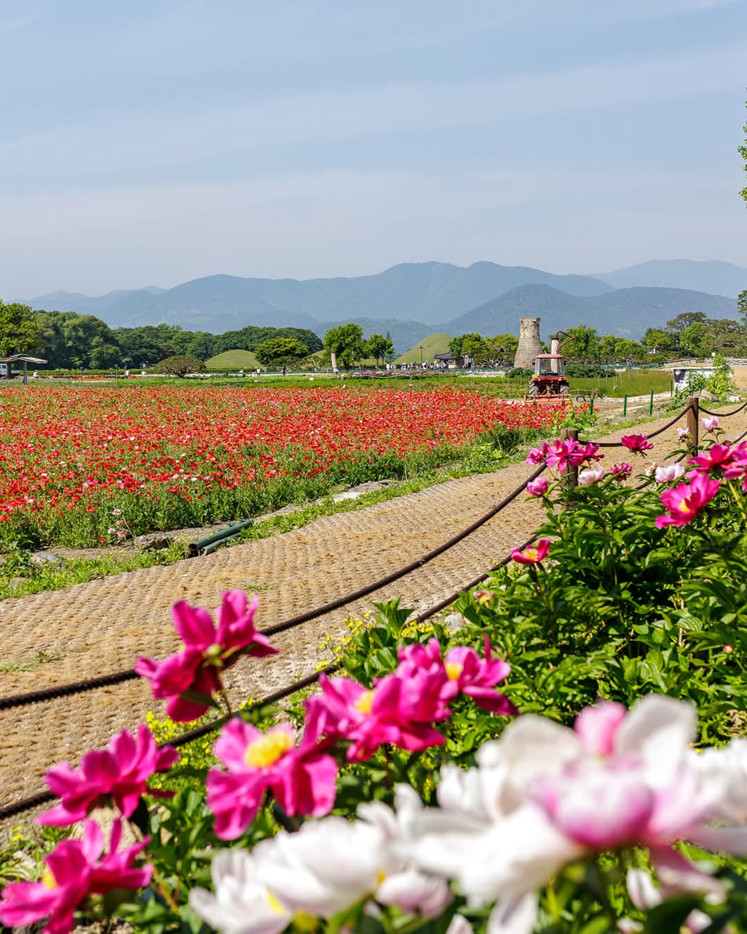 Lotus Garden — Oficiais
