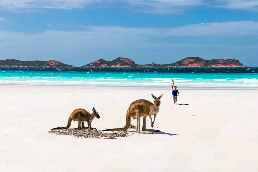 Lucky Bay — Oficiais