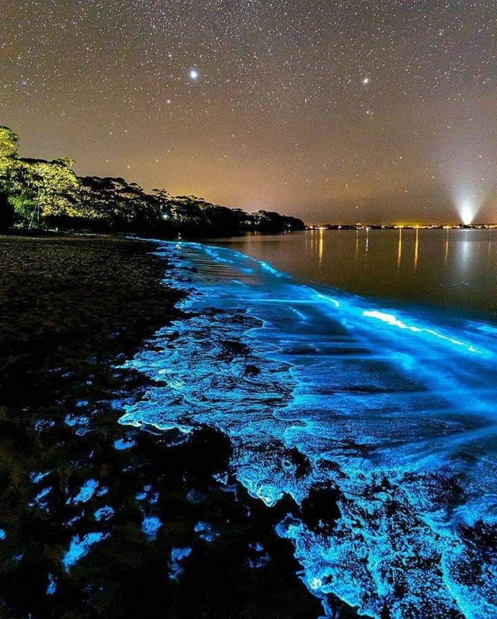 Maldivas estrelas