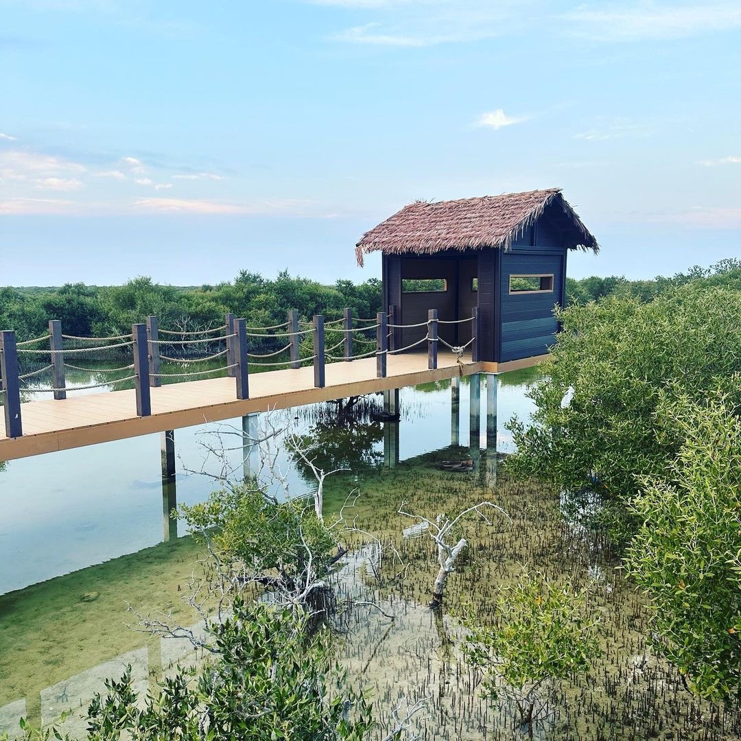 Mangrove and Al Thakira area
