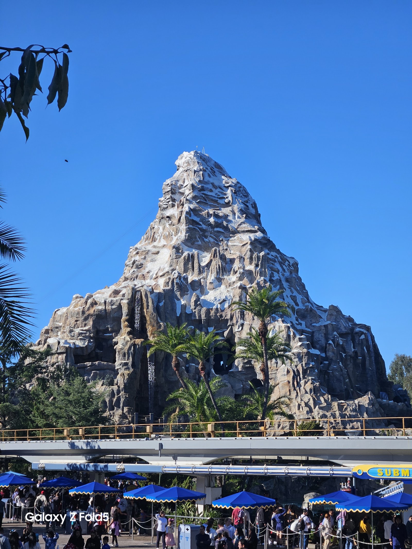 Matterhorn Bobsleds — Oficiais