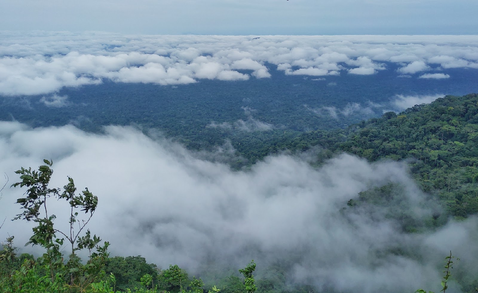 Mbe Mountains — Oficiais