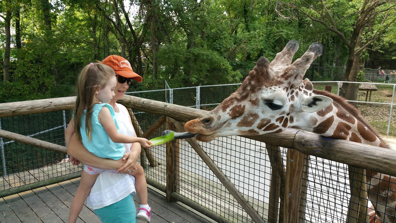 Memphis Zoo — Oficiais
