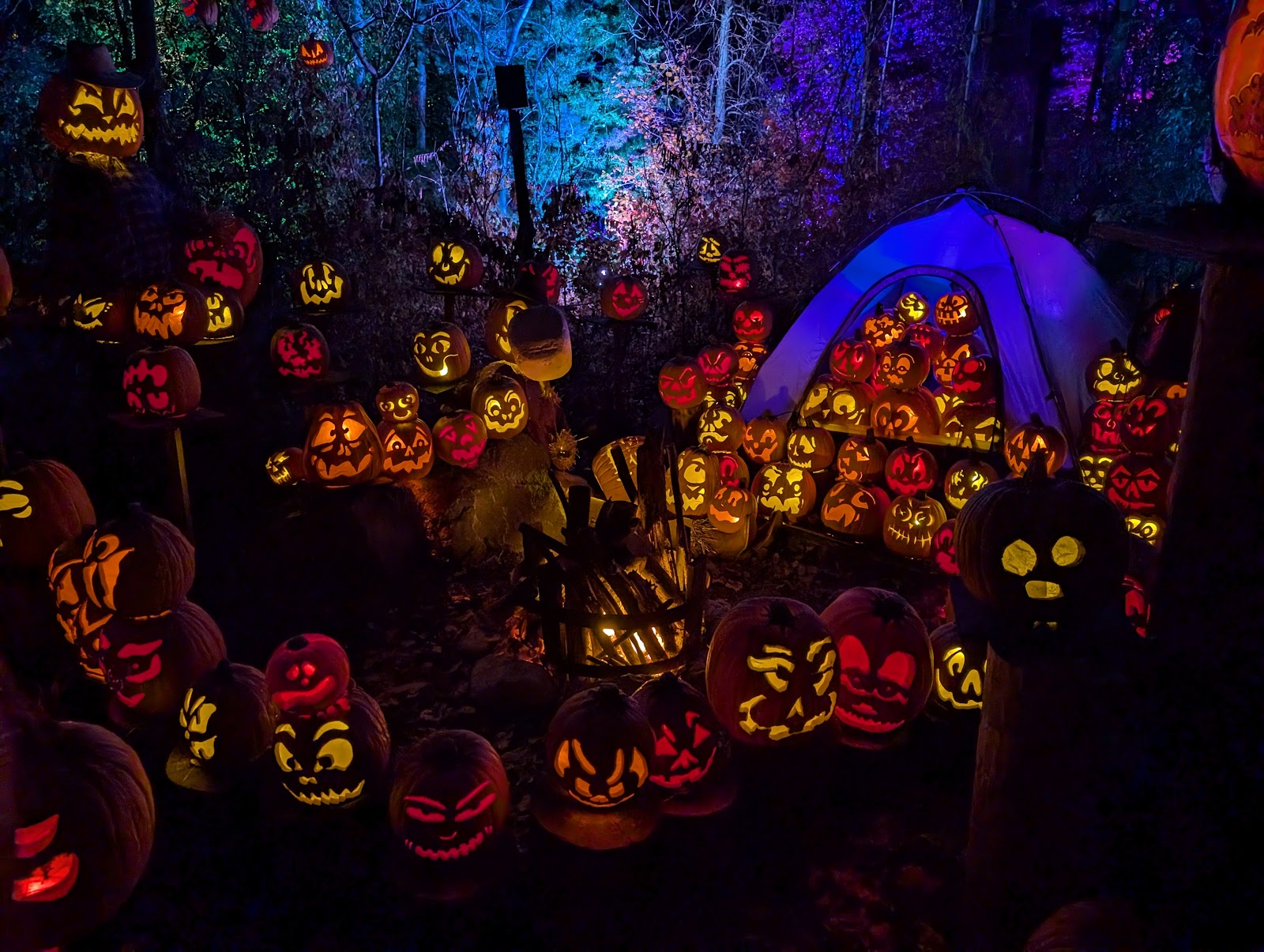 Minnesota Zoo — Oficiais