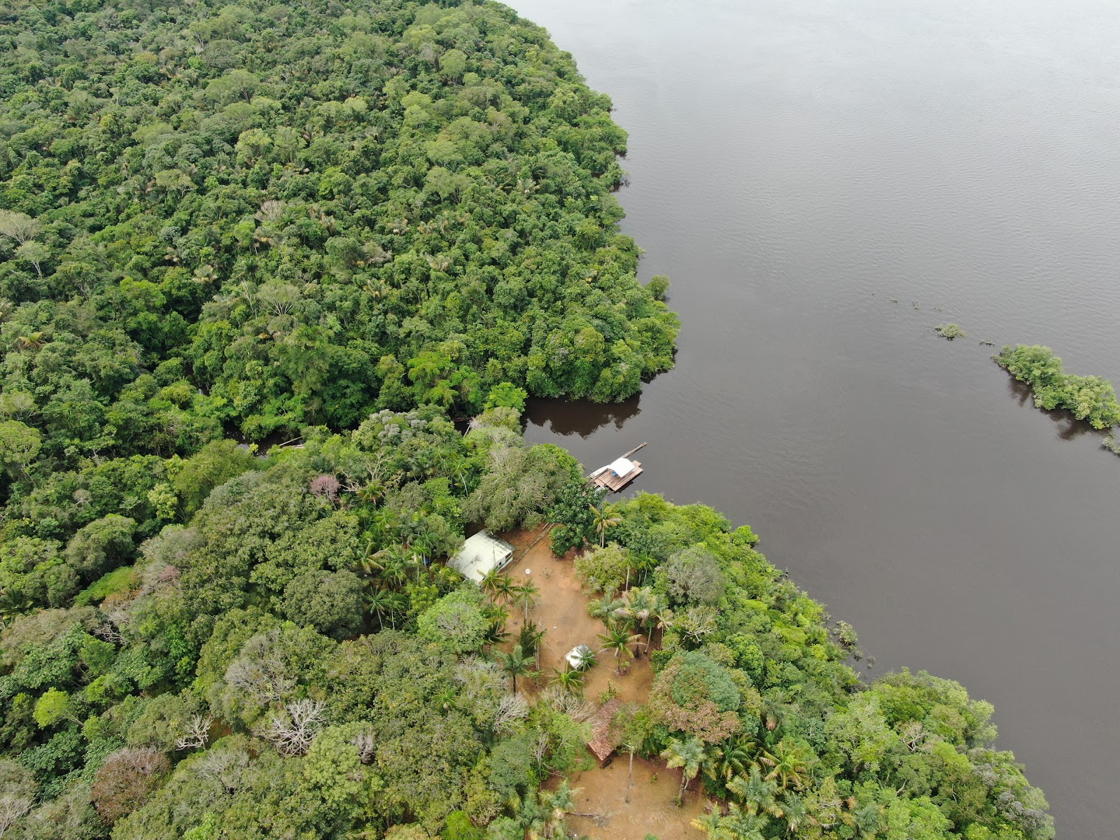 Mirante natural do arquipélago de Anavilhanas — Oficiais
