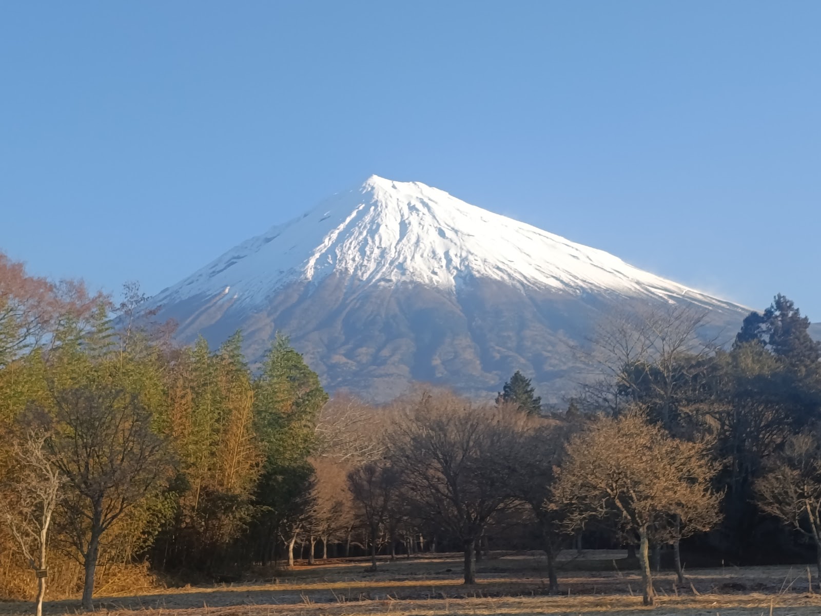 Monte Fuji — Oficiais