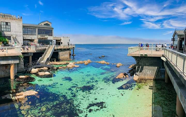 Monterey Bay Aquarium — Oficiais