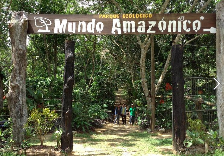 Mundo Amazónico — Oficiais