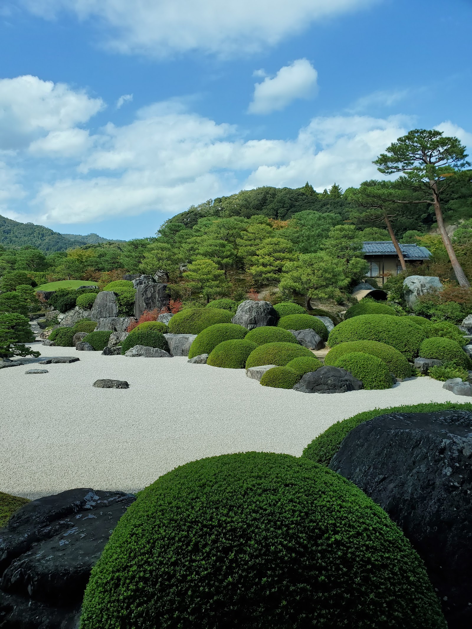 Museu de Arte Adachi — Oficiais