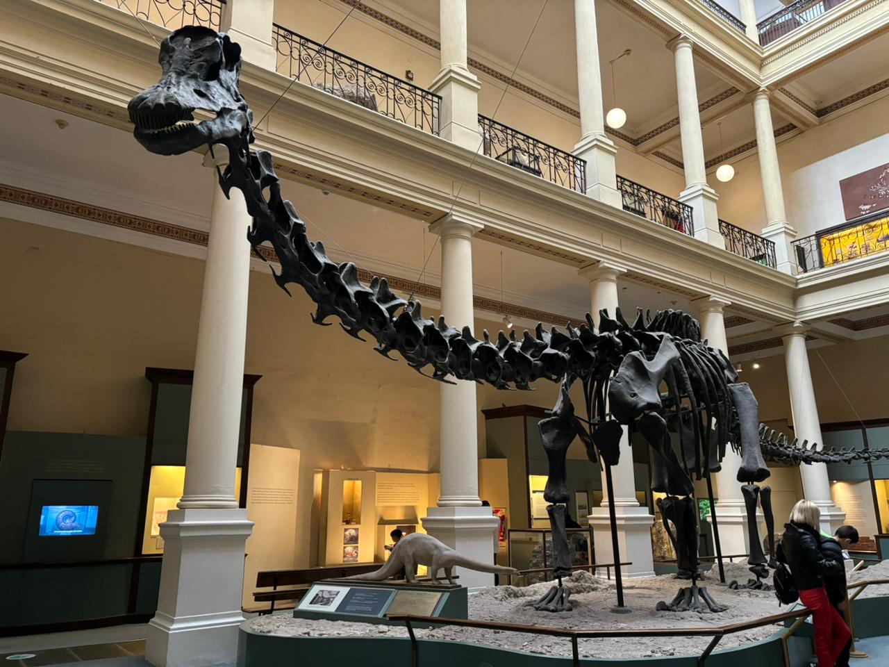 Museu de La Plata — Oficiais