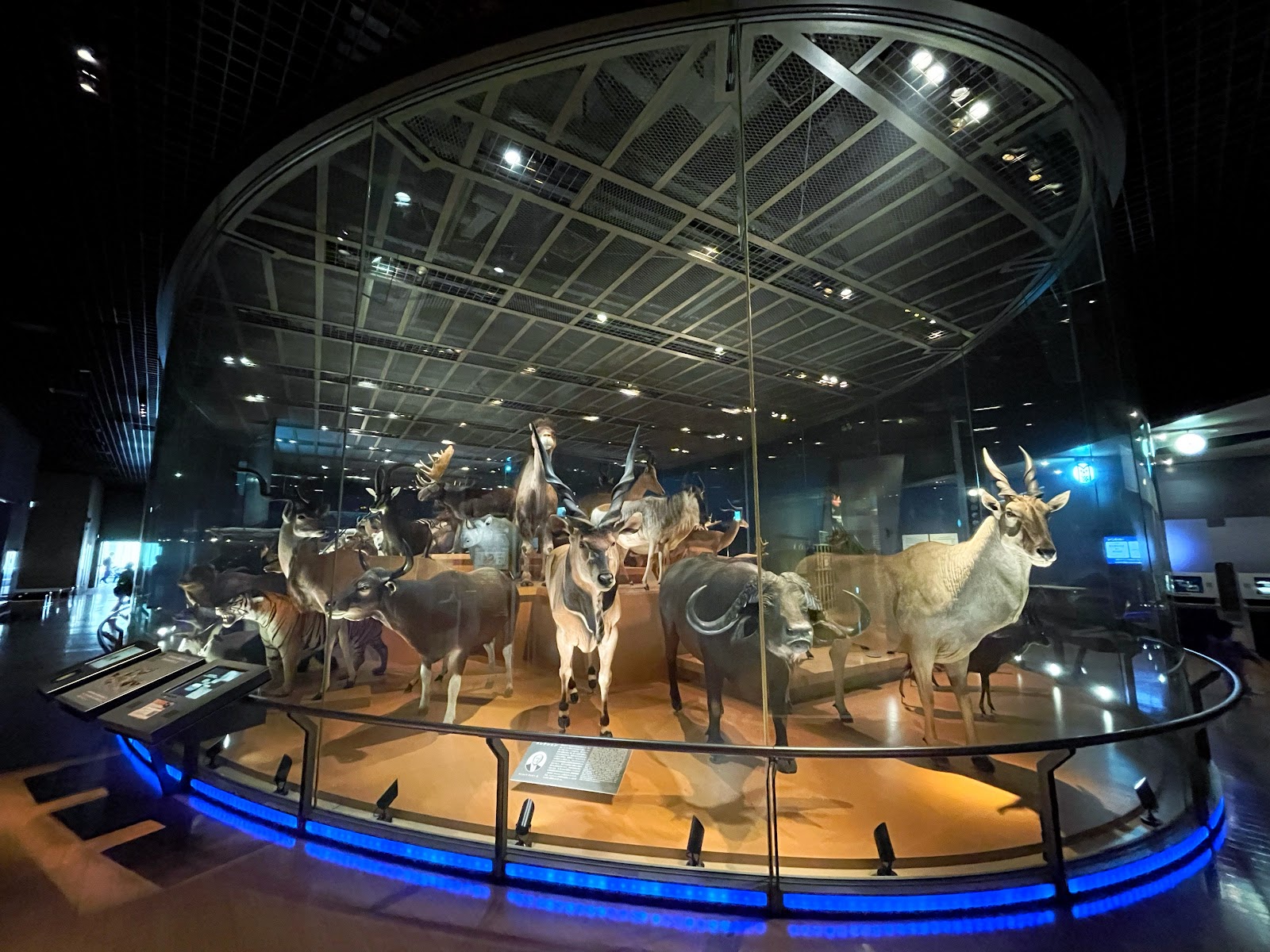 Museu Nacional de Ciência do Japão — Oficiais