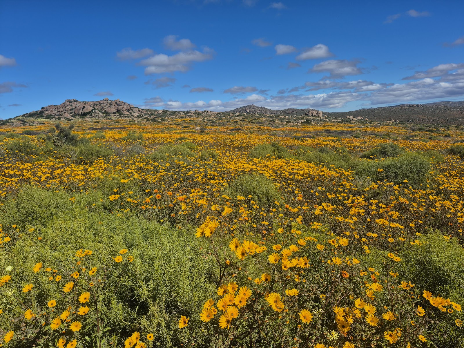 Namaqua National Park — Oficiais