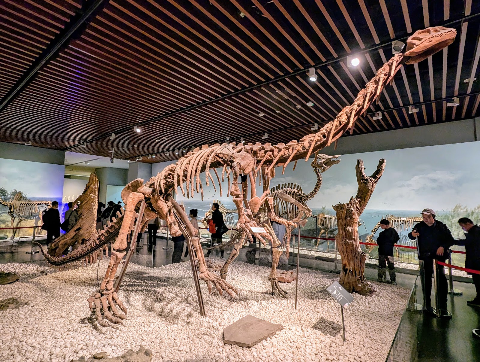 Nanjing Museum — Oficiais
