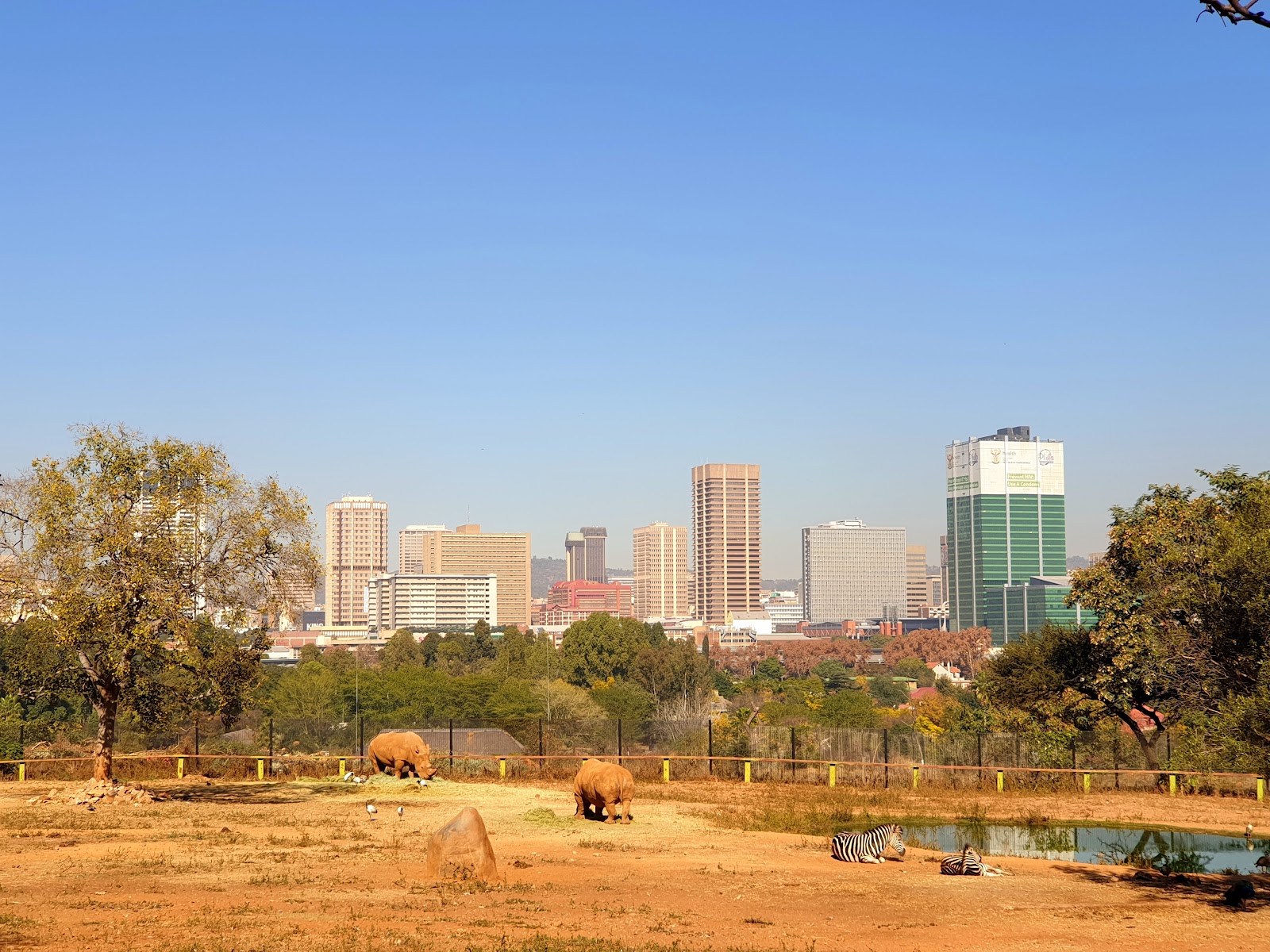 National Zoological Gardens - Tshwane — Oficiais