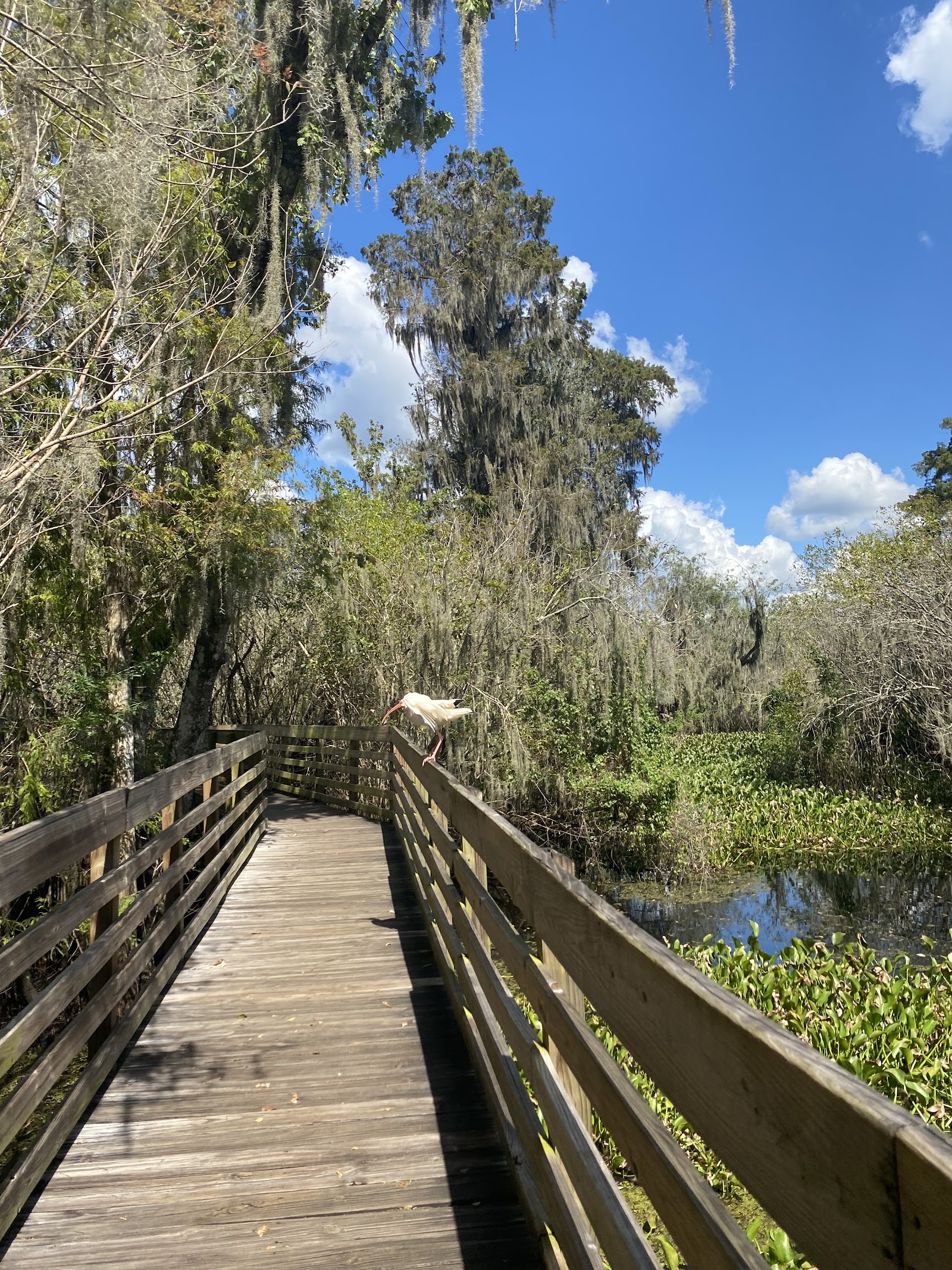 Nature center — Oficiais
