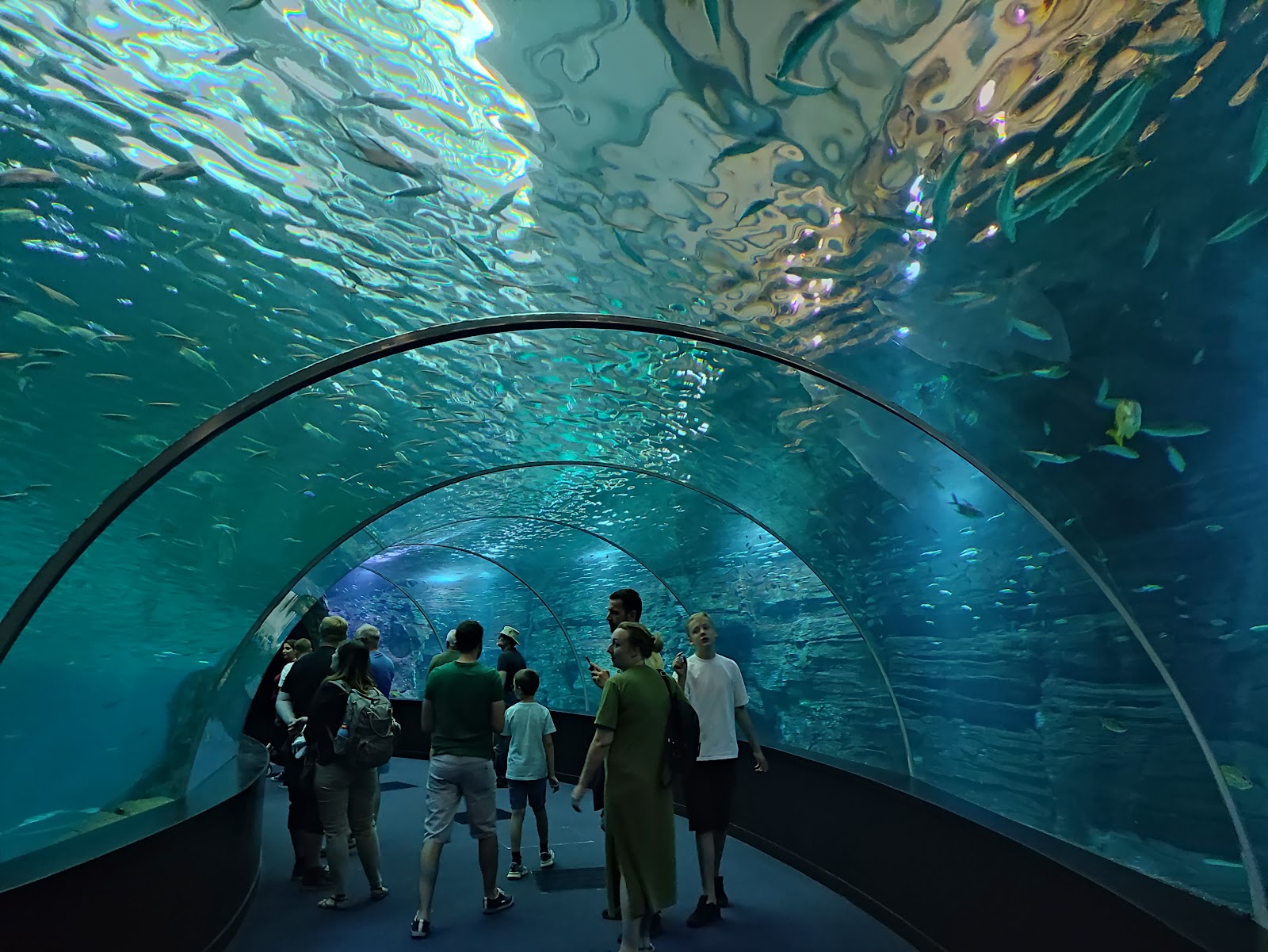 Nausicaá Centre National de la Mer — Oficiais